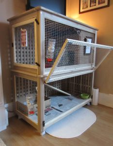 [300] Indoor Rabbit Cages Tips