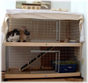 Large Indoor Rabbit Cage